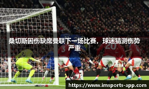 im体育平台