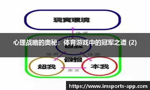 im体育平台